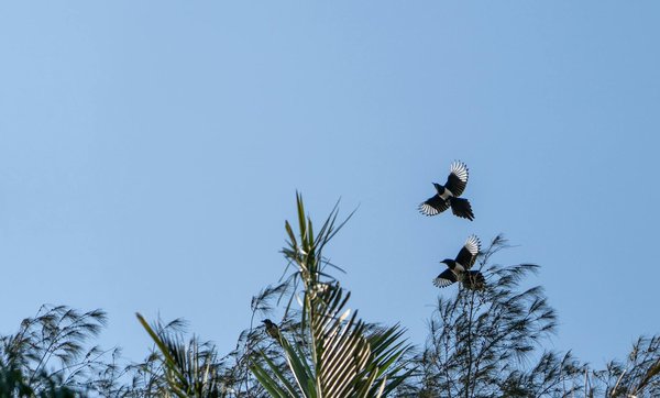 L'épilation laser durable pour lèvres et menton : tout savoir